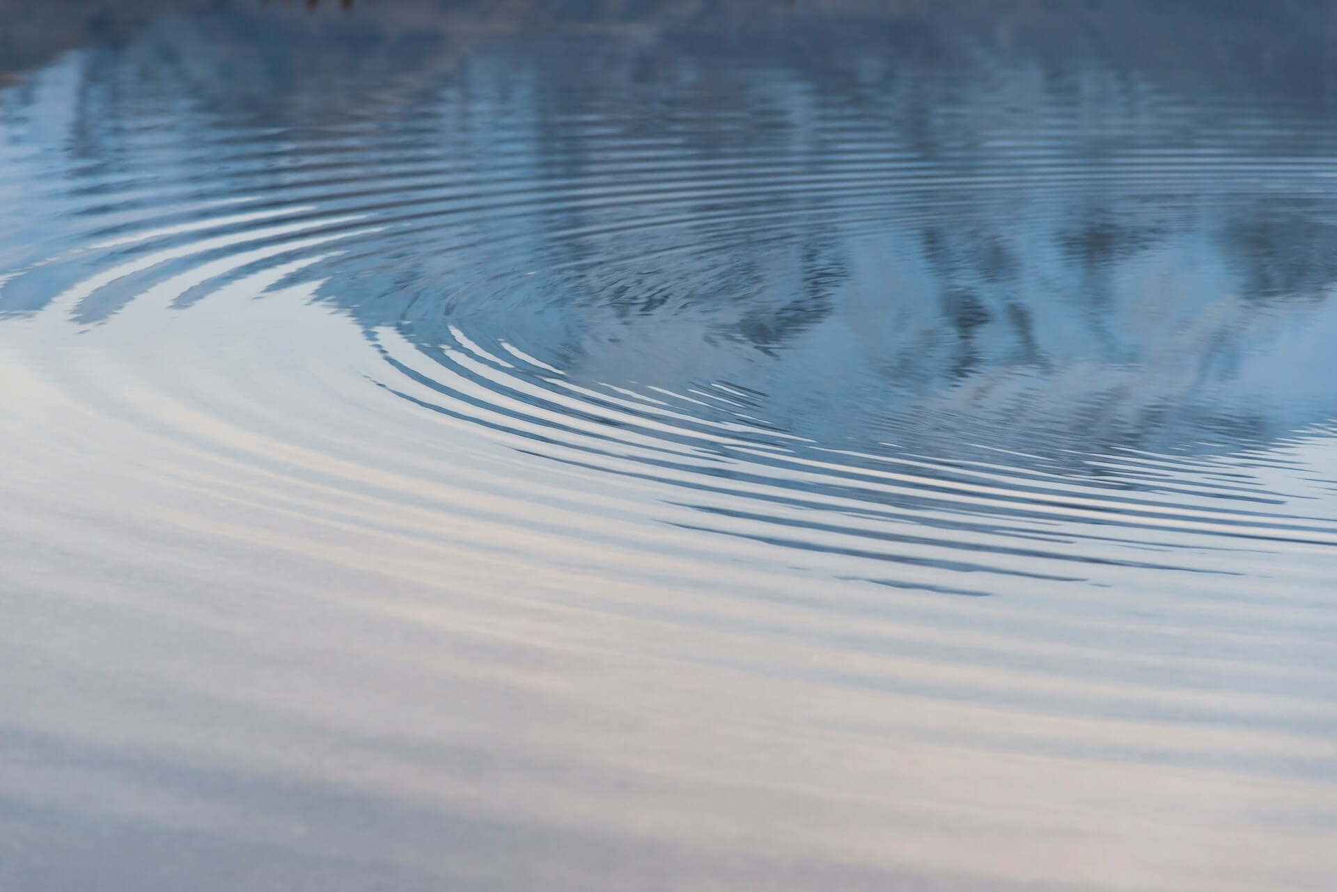 Des ondulations sur une surface calme d'eau